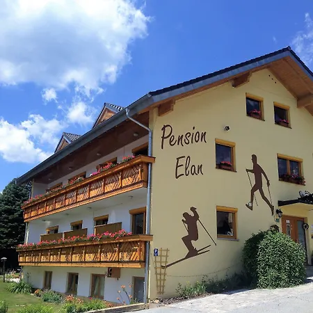 Гостевой дом Elan Байериш-Айзенштайн