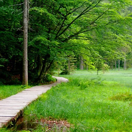 Elan Гостевой дом